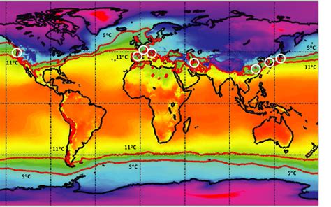 Study claims COVID-19 virus thrives in temperate climate band across ...