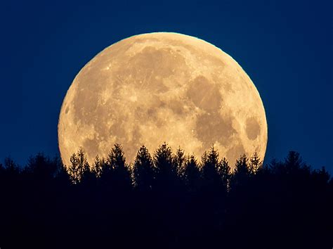 A rare Blue Blood Moon rises on Halloween. Here's what that means ...