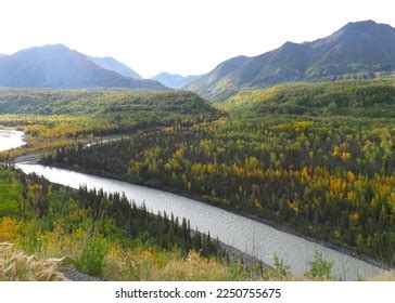 Hines Alaska Summer Forests Rivers Stock Photo 2250755675 | Shutterstock