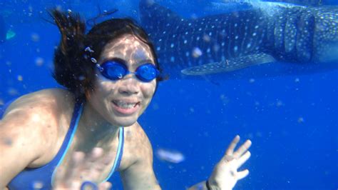 Swimming with the gentle giants (whale sharks) in Oslob, Cebu, Philppines Whale Sharks, Gentle ...