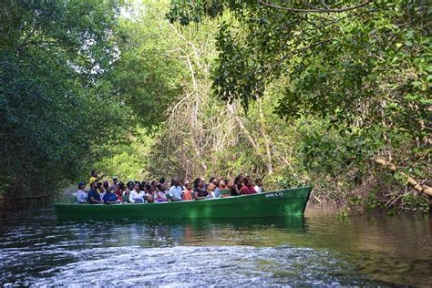 Caroni Swamp Tour: What You need to Know - Island Girl In-Transit