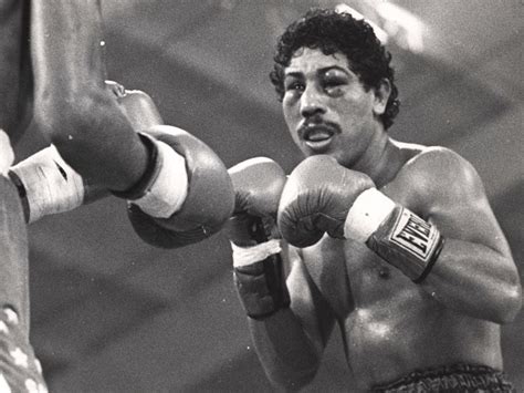 Wilfredo Gomez Vs Salvador Sanchez - R.I.P | Muay thai, Boxeadora, Boxeo