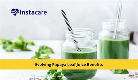 7 Evolving Papaya Leaf Juice Benefits