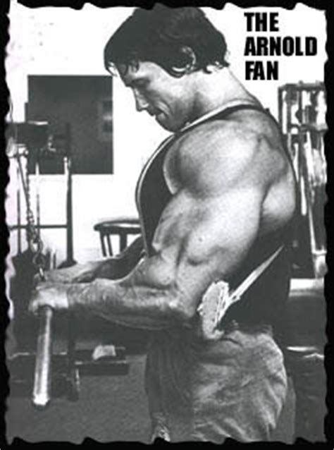 Arnold Schwarzenegger Reverse Tricep Push Up