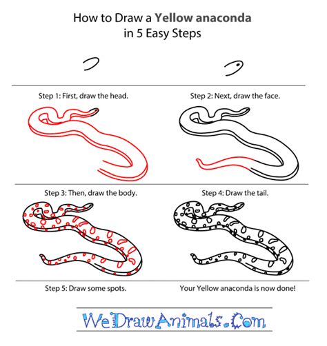 How to Draw a Yellow Anaconda