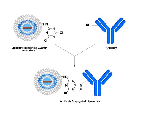 Immunodox®-Cyanur (PEGylated) - Encapsula NanoSciences- Manufacturer of ...