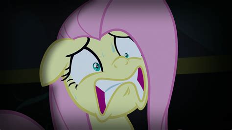 Image - Fluttershy even more scared S5E21.png | My Little Pony ...