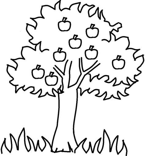 Trees Coloring Pages For Adults