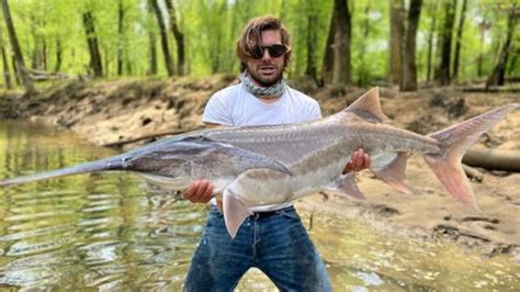 'Is That A Dinosaur?': Man Catches Massive Fish In A Tennessee River | iHeart