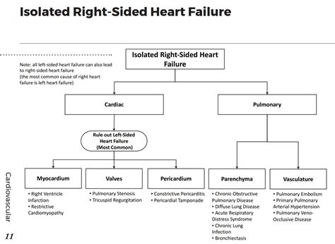 Differential Diagnosis Of CHF