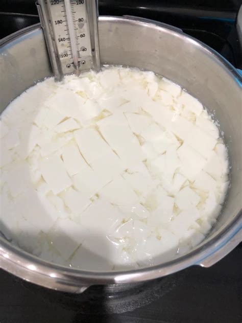 Calcium Chloride | How to Make Cheese | Cheese Making