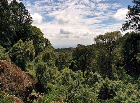 Kitum Cave: The Deadliest Place on Earth? - Historic Mysteries