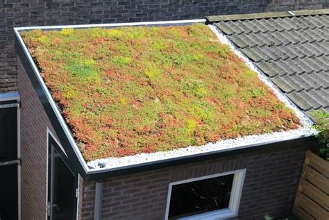 city living - Infrastructure layers for a green roof? - Sustainable ...