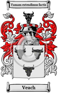 Veach Name Meaning, Family History, Family Crest & Coats of Arms