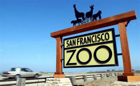 San Francisco Zoo – SF Beautiful