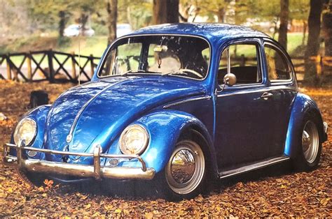 Volkswagon Beetle Canvas Wall Art Poster Unframed | Property Room