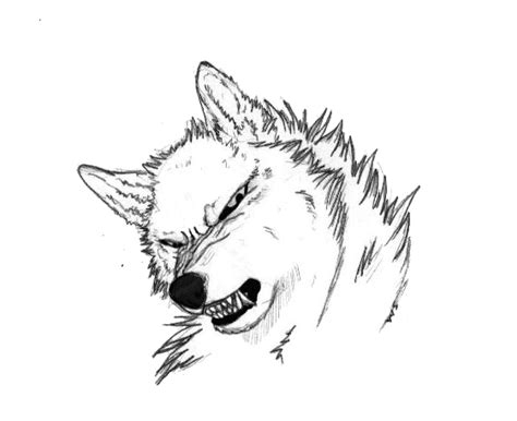 Wolf Snarl Drawing at GetDrawings | Free download