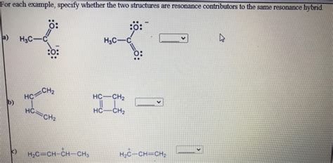 Solved REVIEWODOS References For each example, specify | Chegg.com