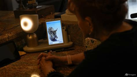 Chatty robot helps seniors fight loneliness through AI companionship - CNA