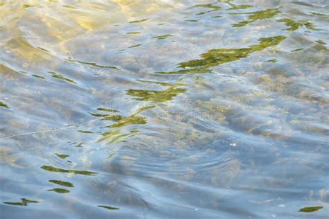 Ripples on the Pond Water Surface Stock Photo - Image of ripples ...