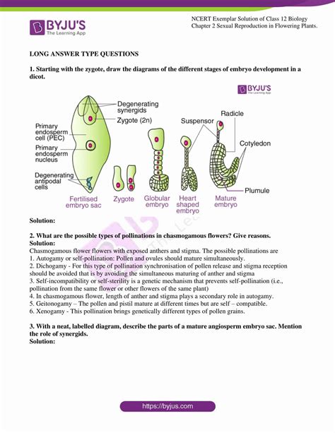 Ncert Class 11 Biology Diagrams