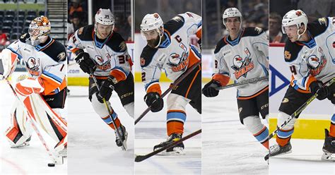 Anaheim Ducks, San Diego Gulls Announce Roster Moves | San Diego Gulls