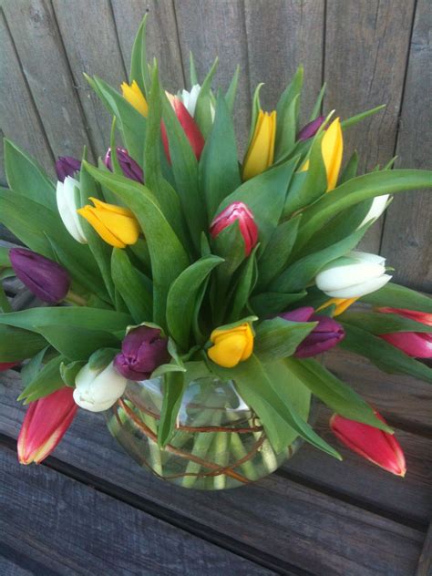 Fun Fact: Tulips are some of the most popular spring flowers of all ...