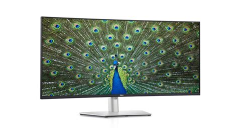 Dell U4021QW UltraSharp 40-inch Curved WUHD Monitor ...