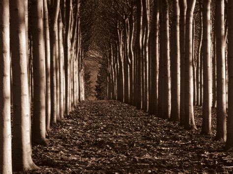 30 Beautiful Examples of Sepia Photography | PSDFan