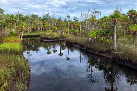 FSU students help St. Marks National Wildlife Refuge plan for its ...