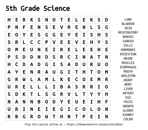 5th Grade Science Word Search