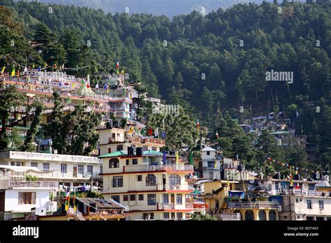 India, Dharamsala, Mcleod Ganj hotels and houses on forested mountain ...