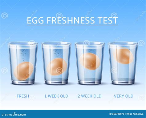 Realistic Egg Freshness Test. Hen Egg Floating in Glass with Water ...