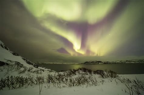 Northern Lights in Murmansk | Book Russia Tours