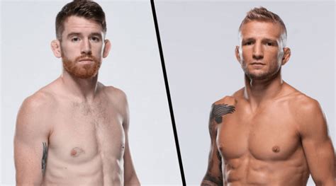 UFC Fight Night: Sandhagen vs. Dillashaw Betting Preview, Odds, Prediction