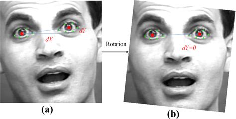 Face alignment. a Before face alignment. b After face alignment | Download Scientific Diagram