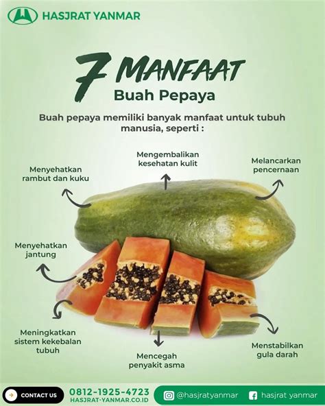 Ini Dia Manfaat Mengonsumsi Buah Pepaya Bagi Tubuh! - Hasjrat Yanmar