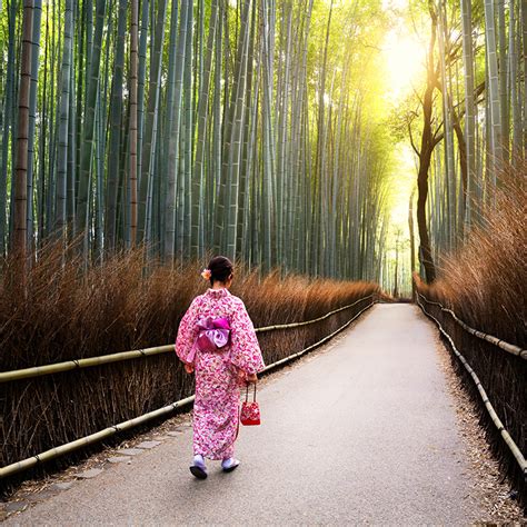 Arashiyama Bamboo Forest in Sagano, Japan - Genci