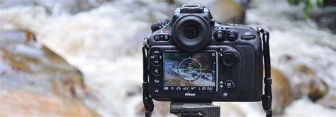 5 Best Nikon DSLR Cameras - Feb. 2021 - BestReviews