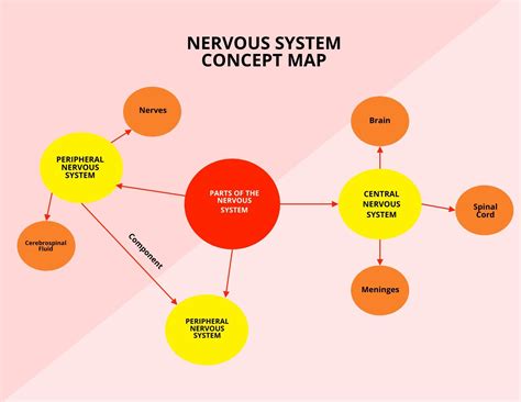 Evolution Concept Map Template - Edit Online & Download Example ...