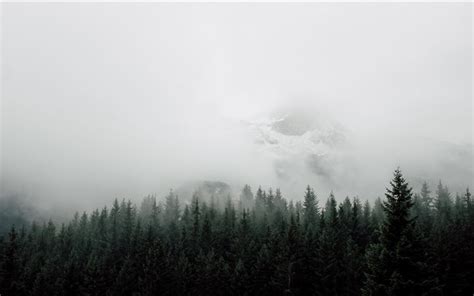 1000+ Best Nebel Mac Wallpapers Free HD Download - AllMacWallpaper