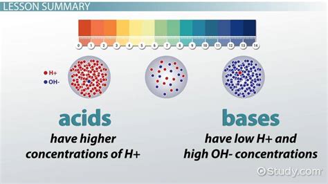 Effect of pH on Enzyme Activity | Overview & Interaction - Video ...