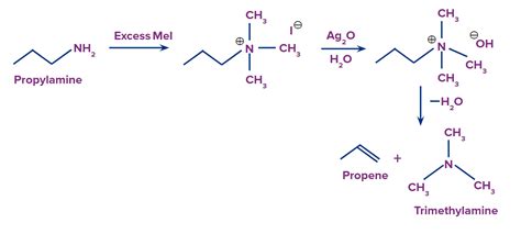 Hofmann Elimination Reaction: Mechanism, Examples & Applications | AESL