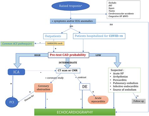 Frontiers | COVID-19 and Acute Coronary Syndromes: Current Data and Future Implications