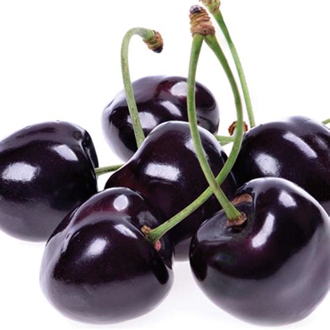 Black Pearl Cherry Tree - Among the largest and sweetest cherries! (2 ...