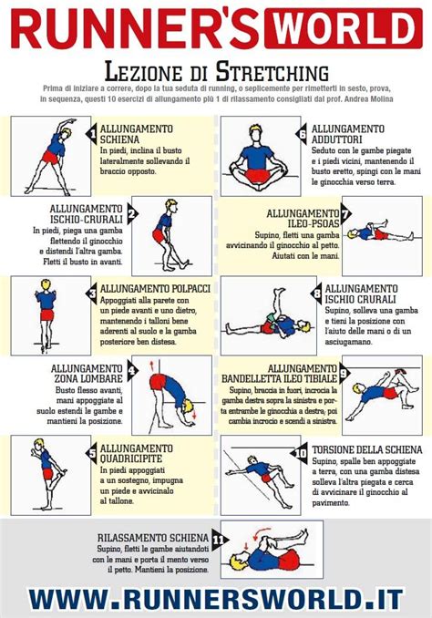 Programmi di allenamento, Esercizi, Stretching