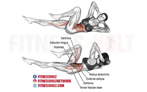 How To Do The Bicycle Crunch (Abdominals) – Fitness Volt