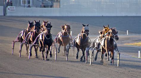 Dover Downs harness racing results/entries | Bay to Bay News