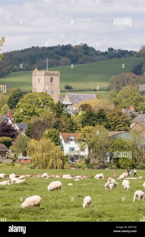 View across fields to Leintwardine and the church, St Mary Magdalene, Herefordshire, England, UK ...