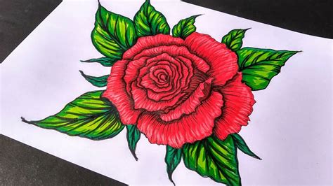 How to draw a rose | beautiful rose drawing | color pencil drawing | brush pen drawing - YouTube